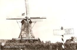 Delcampe - Terschelling : Molen Fomerum - Terschelling