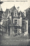 VIENNE - 86 -  MONTS SUR GUESNES - Château De Maulay - Monts Sur Guesnes