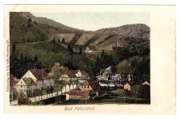 BAD PETERSTHAL - Carte Colorisée / Colored Card - Ed. Felix Luib, Strassburg I. E. - Bad Peterstal-Griesbach
