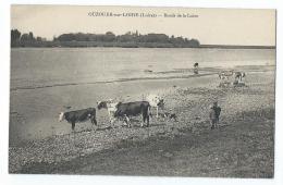 Ouzouer-sur-Loire - Bords De La Loire - Ouzouer Sur Loire