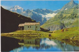 SUISSE,SCHWEIZ,SVIZZERA,SWITZERLAND,HELVETIA,SWISS,FRIBOURG,SCHWARZSEE,lac Noir,lac Naturel,il Y A 50 Ans - Fribourg