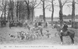 64-PAU- RENDEZ-VOUS DE CHASSE AU RENARD AUX ALLEES DE MORLAAS - Pau