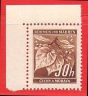 MiNr. 64 ER Xx Deutschland Besetzungsausgaben II. Weltkrieg Böhmen Und Mähren - Unused Stamps