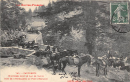 65-CAUTERET- MONTURES POUR LE LAC DE GAUBE , PRES DE L'HOTELLERIE DU PONT D'ESPAGNE - Cauterets