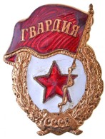 Szovjetunió ~1960-1970. 'Szovjet Gárda Jelvény' Aranyozott, Zománcozott Fém... - Non Classés