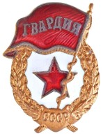 Szovjetunió ~1960-1970. 'Szovjet Gárda Jelvény' Aranyozott, Zománcozott Fém... - Non Classés