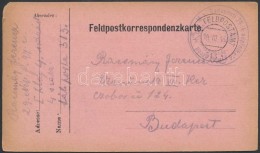 1916 Tábori Posta LevelezÅ‘lap 'M.k. Budapesti 29-ik NépfölkelÅ‘ Gyalog Ezred' + 'FP 313' - Autres & Non Classés