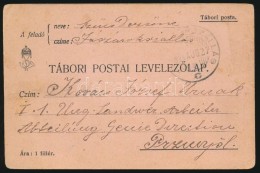 1914 Tábori Posta LevelezÅ‘lap / Field Cover '(JÁSZÁROK)SZÁLLÁS' - Przemysl - Autres & Non Classés