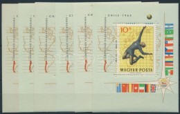 ** 1962 6 Db Chile Foci VB Blokk (10.800) - Autres & Non Classés