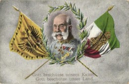 T2/T3 'Gott Beschütze Unsern Kaiser, Gott Beschütze Unser Land' / WWI Franz Joseph, Viribus Unitis,... - Non Classés