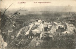 T2 Algyógy, Geoagiu; M. Kir. Vasgyári Szanatórium, Adler Kiadása / Iron Factory... - Non Classés