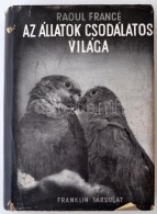 Raoul Francé: Az állatok Csodálatos Világa. Bp., é.n. Franklin. 301 P. 10... - Non Classés