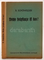 Schönfelder, Bruno: Welche Heilpflanze Ist Das? Deutsche Heil- Und Giftpflanzen Ihr Aussehen Und Ihr Wirken.... - Unclassified