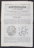 1867 Kertészgazda S A Nép Kertésze, Egyetemes Gazdászati és Kertészeti... - Non Classés