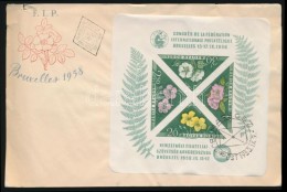 1958 Vágott FIP Blokk FDC-n (15.000) / Mi Block 28 Imperforate On FDC - Autres & Non Classés