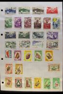 COMORO ISLANDS 1950-1975 All Different FINE USED Collection On Pages. Strongly Represented With A High Degree Of... - Other & Unclassified