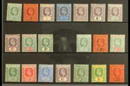 1903-12 KEVII MINT COLLECTION On A Stock Card. Includes 1903 Wmk CA Set To 5s, 1904-09 MCA Wmk Set & 1906-12... - Fiji (...-1970)