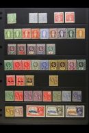 1866-1974 MINT COLLECTION Presented On Stock Pages. Includes QV Ranges To 1s, KEVII Ranges To 1s, KGV Ranges To... - Britse Maagdeneilanden