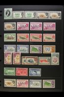 1953-95 ALL DIFFERENT NHM / MINT COLLECTION An Attractive Mostly Never Hinged Mint Collection Presented On Various... - British Honduras (...-1970)