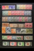 1937-52 MINT KGVI COLLECTION Presented On A Stock Page, Highly Complete With Many Shade & Perforation... - Barbados (...-1966)