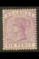 1884-90 6d Mauve QV, Variety "MALFORMED E", SG 54a, Very Fine Mint. Fresh And Attractive! For More Images, Please... - Autres & Non Classés