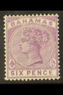 1884-90 6d Mauve QV, Variety "MALFORMED E", SG 54a, Very Fine Mint. Fresh And Attractive! For More Images, Please... - Altri & Non Classificati