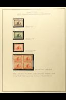 1892 COLUMBUS ISSUE An Interesting Group Written Up On Album Pages, Includes Imperf Colour Trial Proof In Card... - Otros & Sin Clasificación