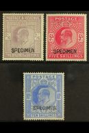 1902-10 2s6d, 5s & 10s De La Rue Printings With "SPECIMEN" Type 16 Overprints (SG Spec M48s, M51s & M53s,... - Non Classés