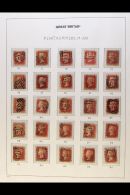 1858-79 1d Red Plate Numbers, SG 43/44, Complete 71-224 (less 77) On Pages, Good To Fine Used Incl. Three With... - Autres & Non Classés