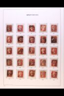 1858-79 1d Red Plate Numbers, A Reconstructed Sheet AA-TL Of Mixed Plates Displayed On Pages, Good To Fine Used.... - Other & Unclassified