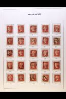 1856-57 1d Red, Die II Watermark Large Crown Perf. 14, SG 38-41, A Complete Sheet Reconstruction AA-TL On Pages,... - Other & Unclassified