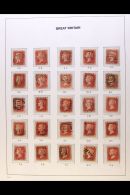 1856-57 1d Red, Die II Watermark Large Crown Perf. 14, SG 38-41, A Complete Sheet Reconstruction AA-TL On Pages,... - Otros & Sin Clasificación