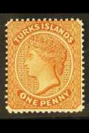 1882-85 1d Orange-brown WATERMARK NORMAL Variety, SG 55x, Fine Mint, Very Fresh. For More Images, Please Visit... - Turks- En Caicoseilanden