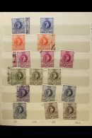 1889-1991 MINT / NEVER HINGED MINT ACCUMULATION In Two Small Stock Books And Stock Cards, Includes 1889-90... - Swaziland (...-1967)