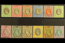 1904-09 KEVII Definitive Set, SG 21/32ab, Some Light Tone To Some Low Values, 10s & £1 Very Fine Mint... - Nigeria (...-1960)