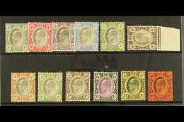 TRANSVAAL 1902 Edward VII (wmk Crown CA) Complete Set, SG 244/255, Fine Mint. (12 Stamps) For More Images, Please... - Zonder Classificatie
