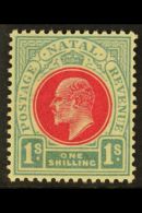 NATAL 1904-8 1s Carmine & Pale Blue, Wmk Mult Crown CA, SG 155, Very Slightly Toned Gum, Otherwise Never... - Unclassified