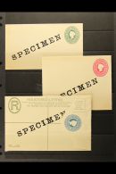 NATAL 1901 QV "SPECIMEN" ENVELOPES. Includes ½d & 1d Postal Envelopes & 4d Registered Envelope All... - Sin Clasificación
