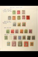 1903 TO 1953 FINE MINT COLLECTION On Several Album Pages, Plenty Of Early Overprints To 12a & 1r Vals, 1904... - Somalilandia (Protectorado ...-1959)