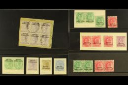 1903 OVERPRINTS - INTERESTING BALANCE Of Mint & Used Stamps On Several Black Stock Cards, Many With Varieties... - Somaliland (Protectorate ...-1959)