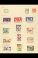 1908-53 On Album Pages. Inc Amongst Others, 1937 Coronation Set,  1939-51 Pictorial Definitive Set, 1946 Victory... - British Solomon Islands (...-1978)