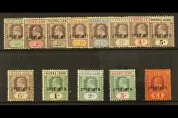 1903 Ed VII Set, Wmk CA, Overprinted "Specimen", SG 73s/85s, Very Fine Mint. (13 Stamps) For More Images, Please... - Sierra Leona (...-1960)