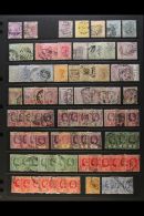 1859-1969 INTERESTING USED ACCUMULATION Presented Chronologically On A Set Of Stock Pages With Many Shades &... - Sierra Leone (...-1960)