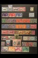 1912-51 USED COLLECTION On Stock Pages. Includes 1912-21 Set To 1s & 2s6d, 1916 (June) 1d "War Tax" Opt,... - Ste Lucie (...-1978)