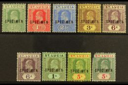 1904 Ed VII Set Wmk MCA Ovptd "Specimen", SG 65s/77s, Very Fine Mint. 5s Green And Carmine (SG 76s) Defective Top... - St.Lucia (...-1978)