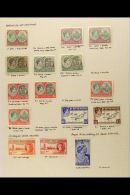 1937-52 VERY FINE MINT COLLECTION On Album Pages. Includes 1938-50 Definitive Set Plus A Strong Range Of... - St.Kitts En Nevis ( 1983-...)