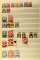 1890-1953 FINE MINT COLLECTION On Stock Pages, ALL DIFFERENT, Inc 1890-97 Set, 1902 Set, 1908-11 Set To 6d Inc 4d... - Isla Sta Helena