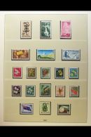 1953-89 EXTENSIVE MINT COLLECTION An Attractive Collection, Mostly Never Hinged Mint, Presented In A Pair Of... - Other & Unclassified