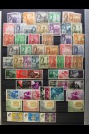 1937-2000's EXTENSIVE COLLECTION On Stockleaves, Mint (mostly Never Hinged) And Used, Generally Very Fine... - Malta (...-1964)