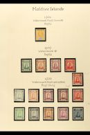 1906-1965 VERY FINE MINT & NHM COLLECTION In Hingeless Mounts On Leaves, ALL DIFFERENT, Many Stamps Are Never... - Maldivas (...-1965)